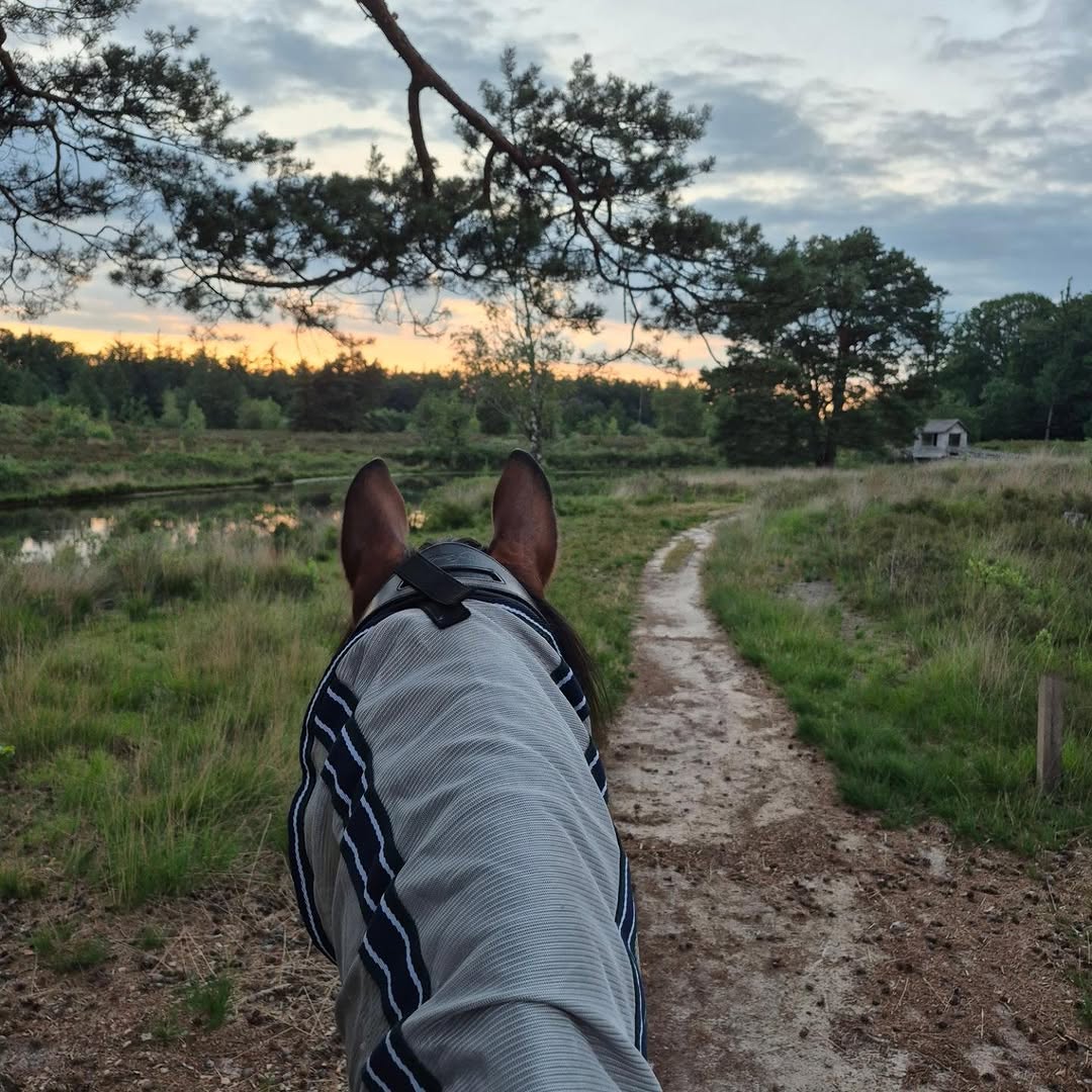 Uitzicht tussen de oren van Santor bij zonsondergang